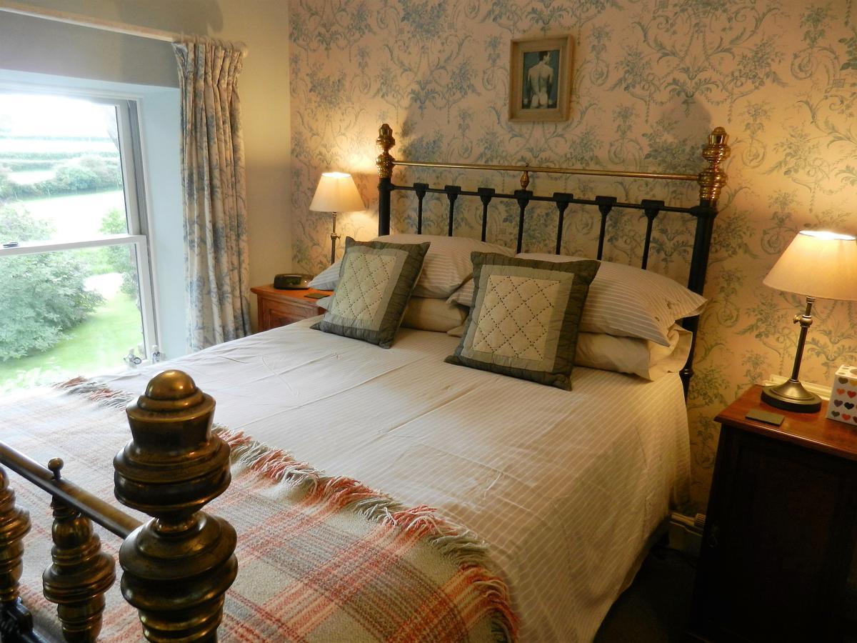 Ffynnon Fendigaid Bed And Breakfastアベルポルス エクステリア 写真